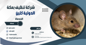 شركة مكافحة الفئران بمكة