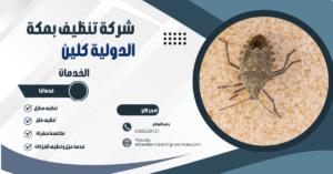 شركه مكافحة البق بمكة