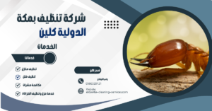 شركة مكافحة النمل الأبيض بمكة