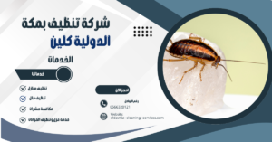 شركة مكافحة الصراصير بمكة 