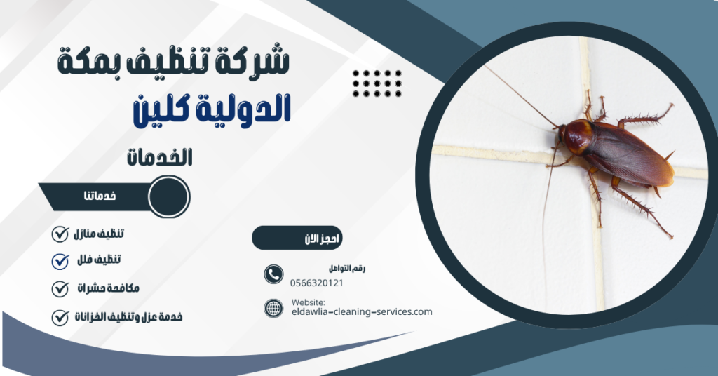 شركة مكافحة الصراصير بمكة 
