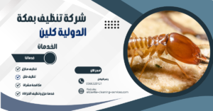 شركة مكافحة النمل الأبيض بمكة 