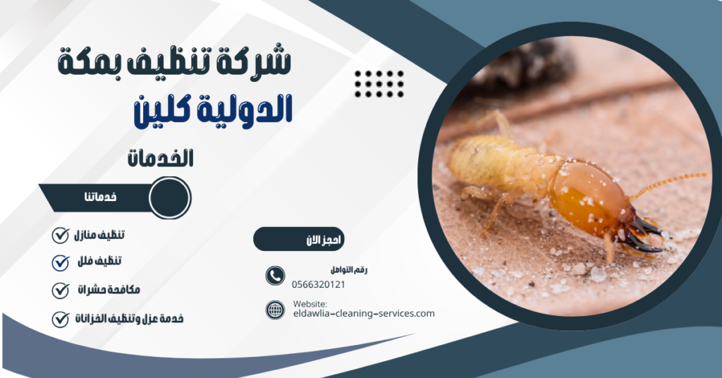 شركة مكافحة النمل الأبيض بمكة 