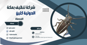 شركة مكافحة البق بمكة