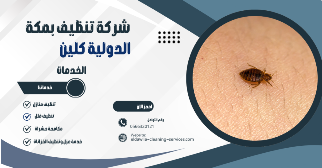 شركة مكافحة البق بمكة