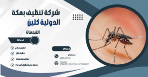 شركة مكافحة البعوض بمكة