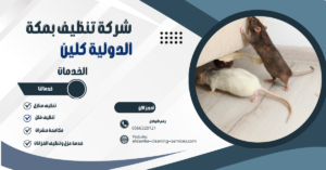 شركة مكافحة الفئران بمكة