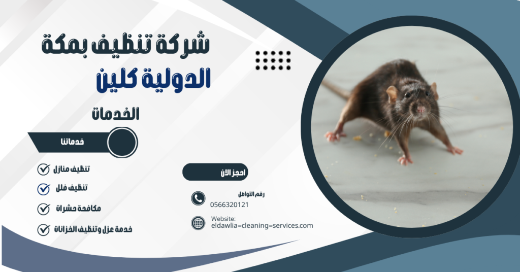 شركة مكافحة الفئران بمكة